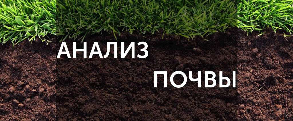 Экодата